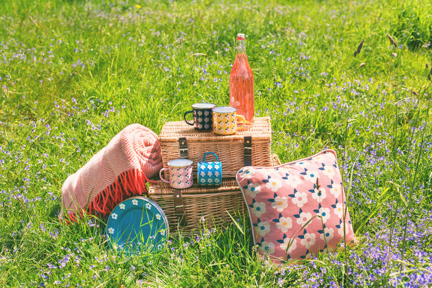 Picnic in Colourful Style