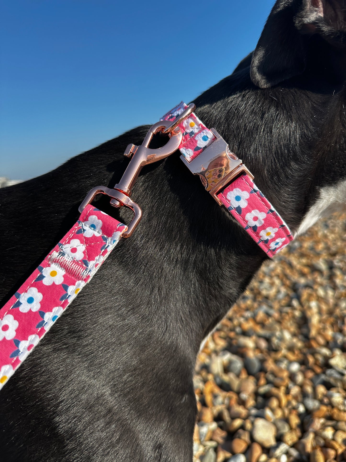 Retro Floral Dog Collar in Rose Pink with Rose Gold Hardware