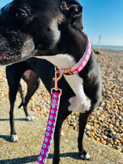 Retro Floral Dog Lead in Rose Pink with Rose Gold Hardware