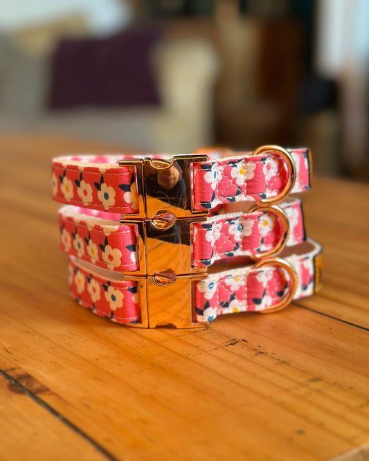 Retro Floral Dog Collar in Rose Pink with Rose Gold Hardware