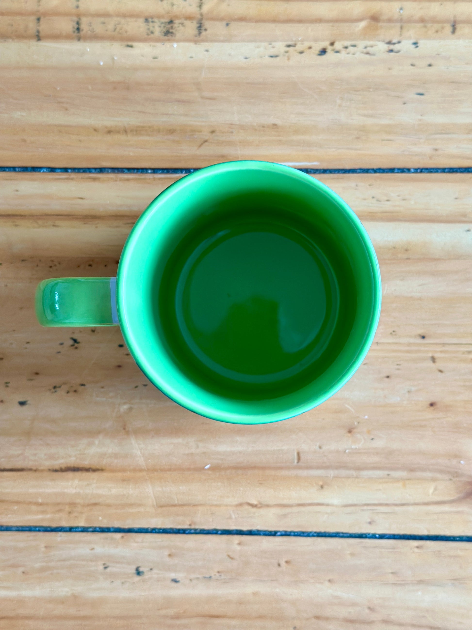 Retro Floral 11oz Ceramic Mug - Ocean Blue with Green - Enamelhappy